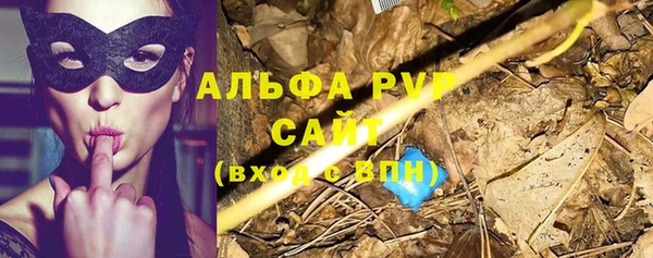 трава Надым