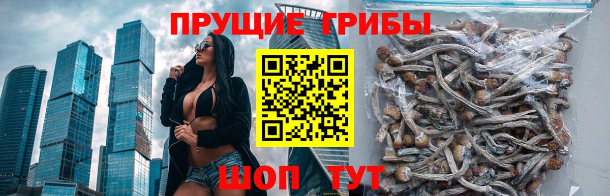 Меф   Кокаин  ГАШИШ  Тверь  Магазин наркотиков  Вход с VPN  Канабис 