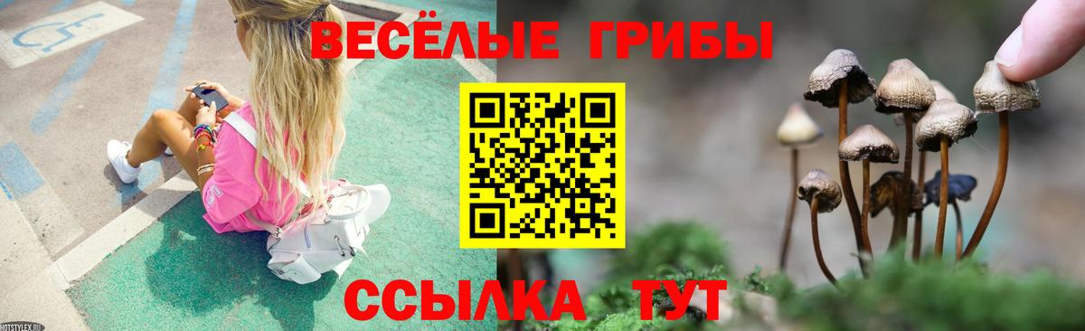 Псилоцибиновые грибы Magic Shrooms Тверь