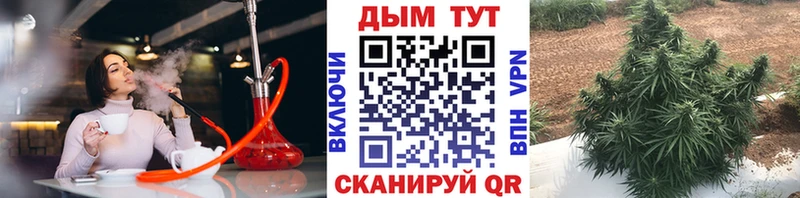 Бошки Шишки индика  Тверь 